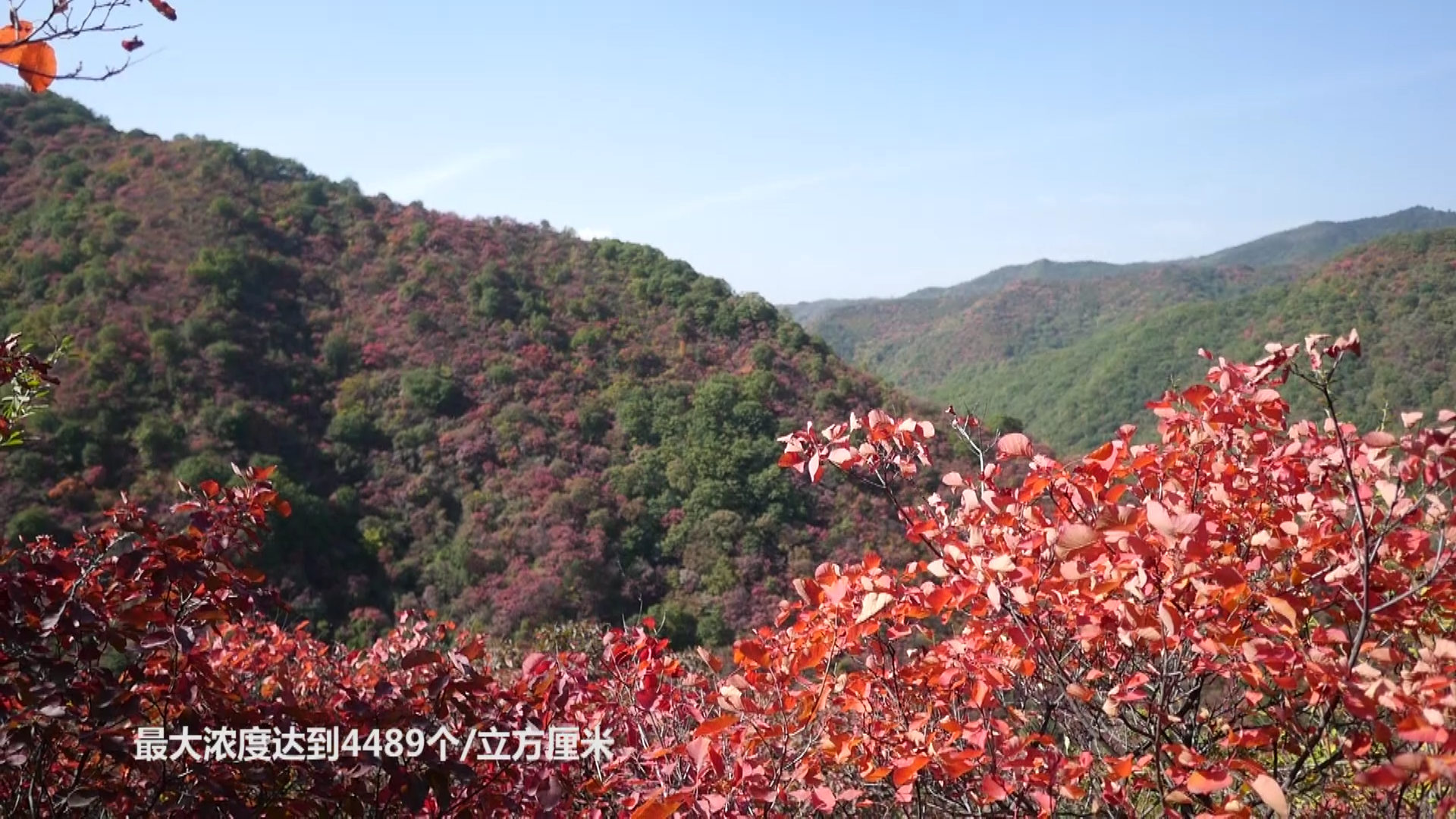 黄河明珠终稿(9[00_01_48][20201110-105955].png