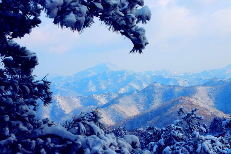 雪霁天晴,一缕阳光温柔地洒下,将大山涂抹成了金色. 李建军 摄