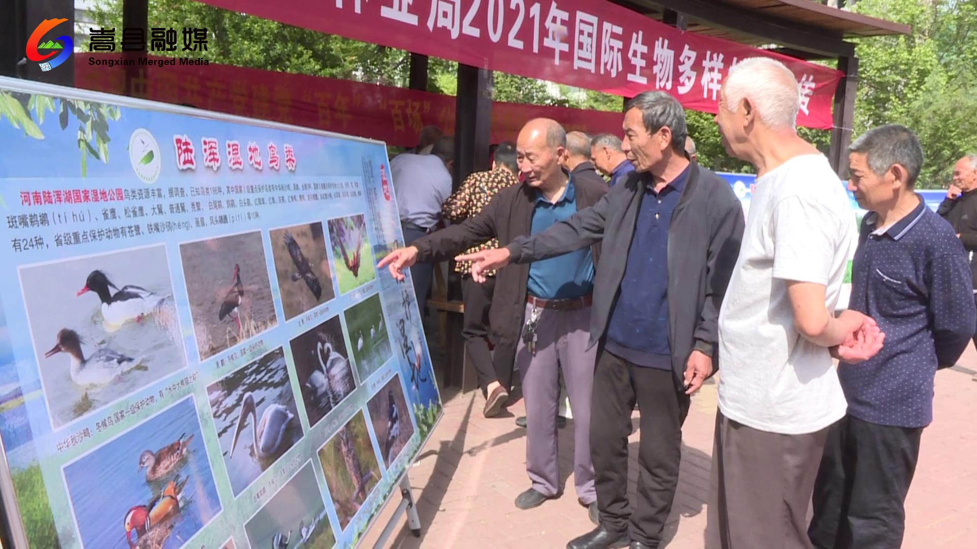 嵩县开展国际生物多样性日宣传活动