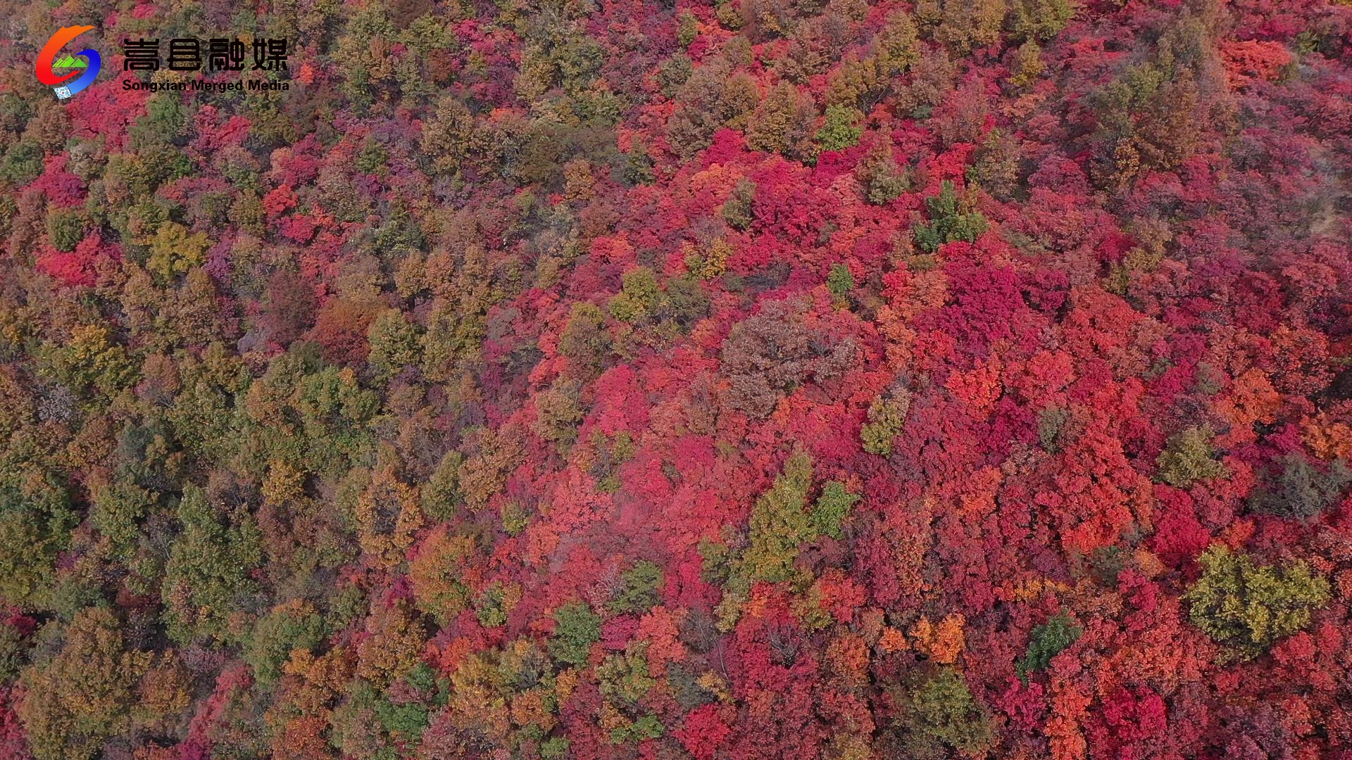DJI_0329[00-00-02][20211029-171720984].jpg
