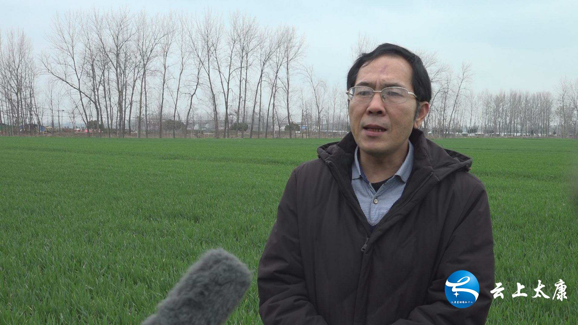 农谚说:"雨水有雨庄稼好,大春小春一片宝",这次降雨可以改善麦田土壤