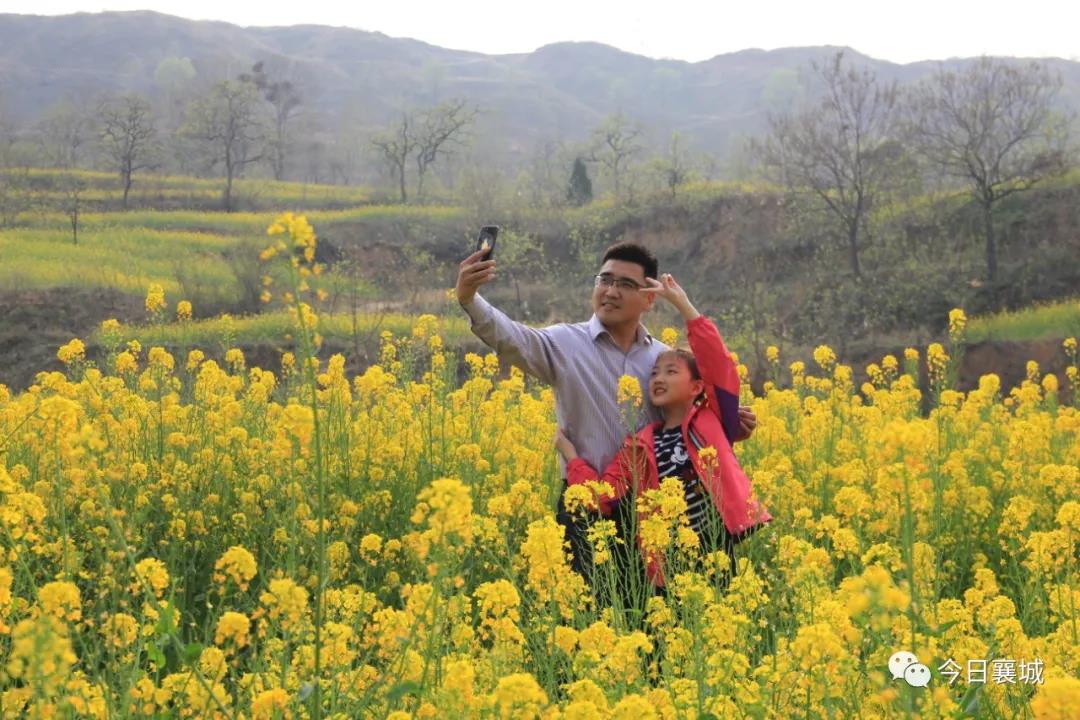 鲜花盛开的山村