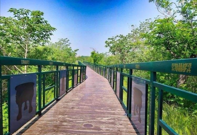 11.20新郑文旅高质量发展郑韩故城国家考古遗址公园荣获2019-2020年公益惠民荣誉奖项6.jpg