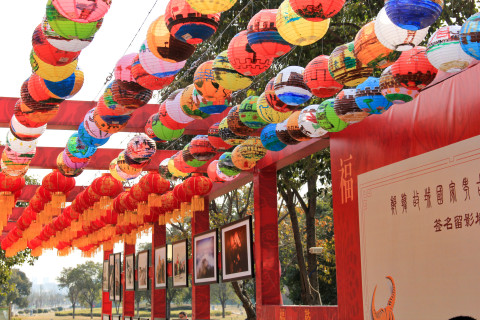 蜂蜜浏览器_2.26新郑市文广旅体局：景区活动多 欢乐闹元宵1.jpg