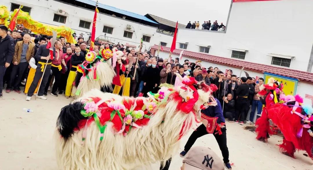 2点,在被誉为乡村新地标,农民新乐园的该村文化广场,随着狮龙"闹"起来