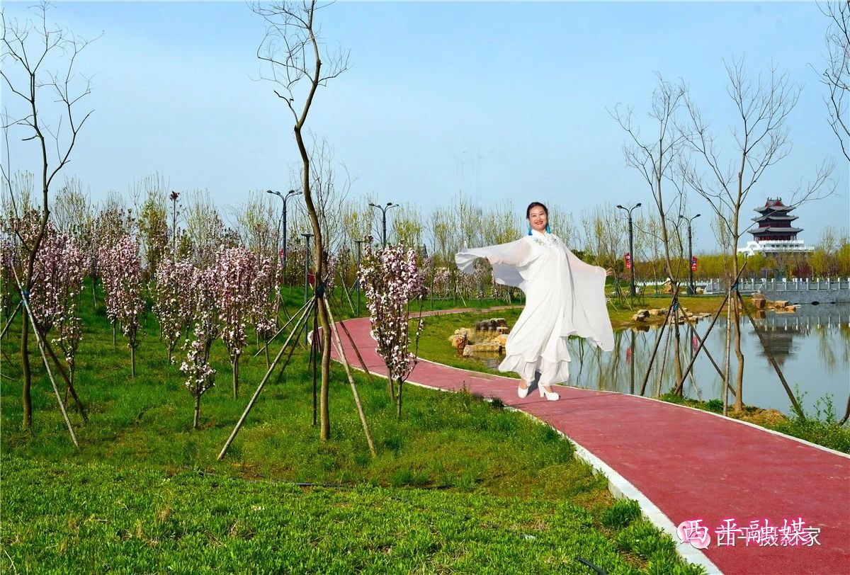 西平嫘祖海棠园 花开迎佳宾