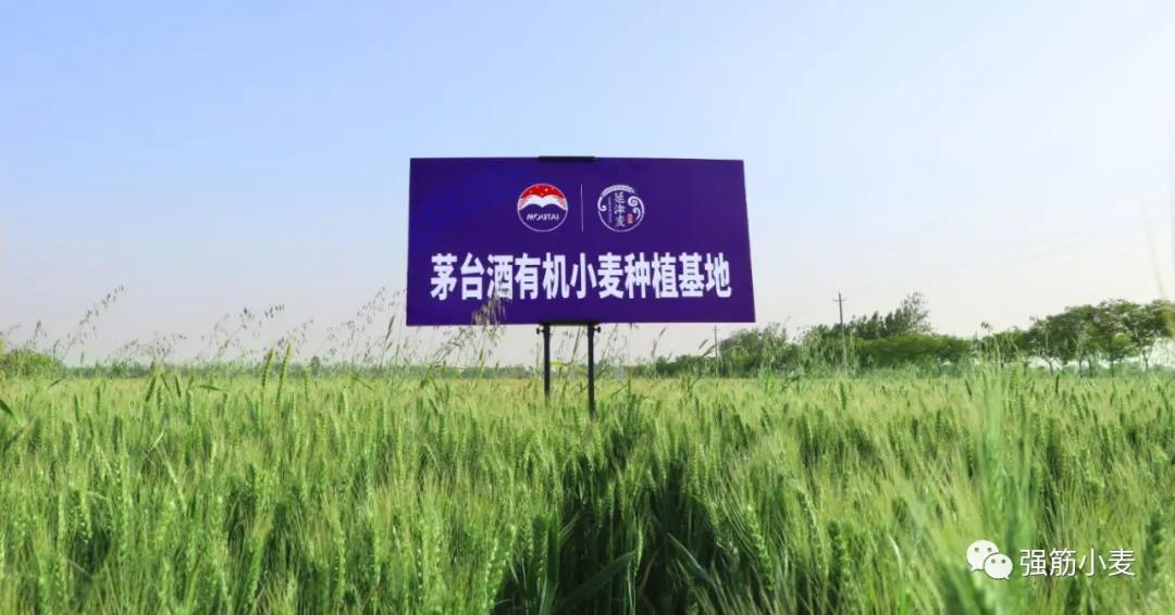 微信图片_20201201171004.jpg
