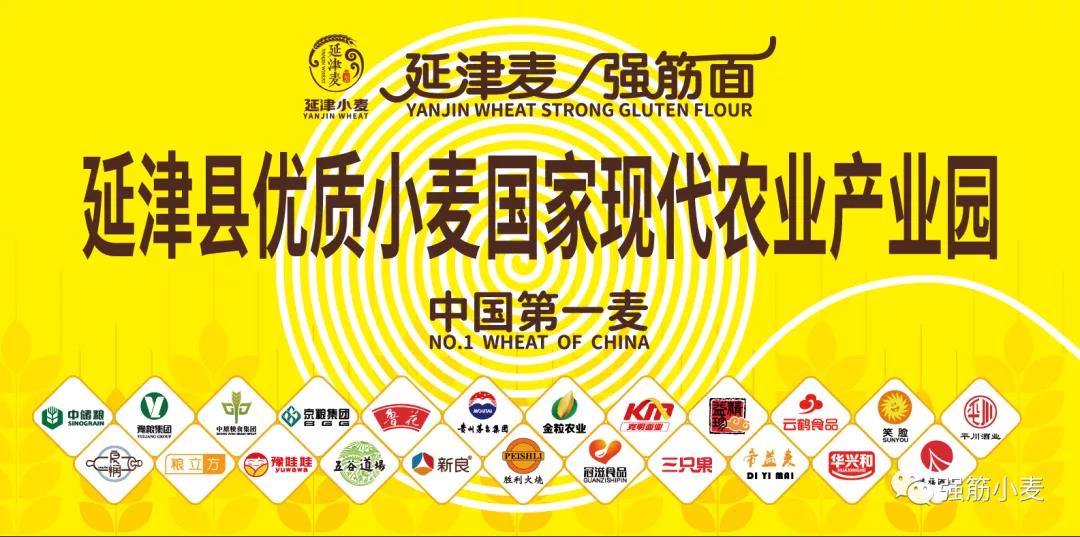 微信图片_20201201171026.jpg