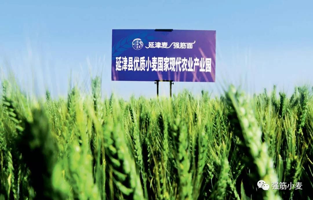 微信图片_20201201170950.jpg