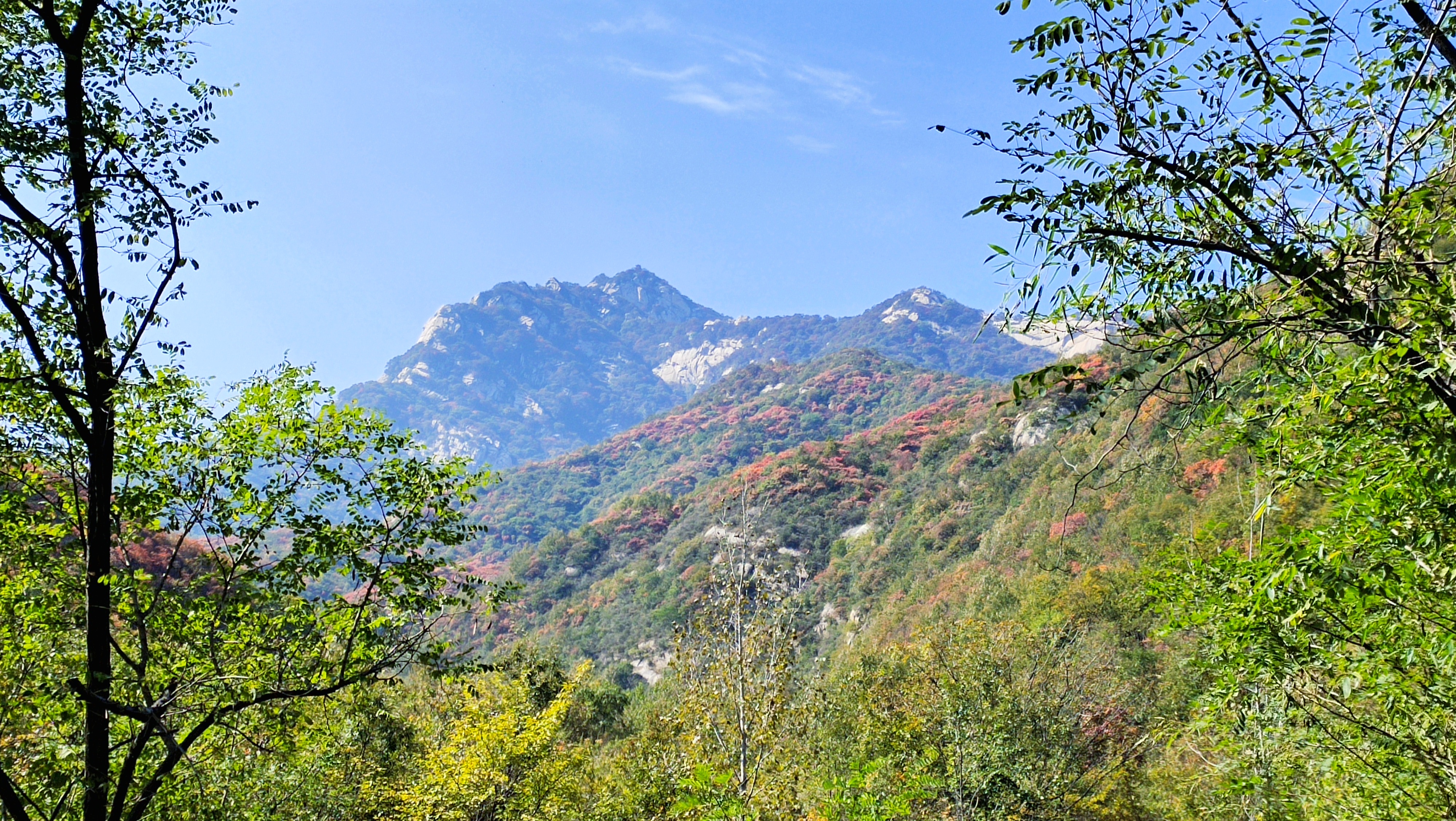 金秋时节,国家级森林公园花果山万山红遍,层林尽染,如花似锦,绚丽多彩